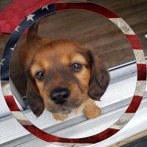 Meet your Posher, Parker